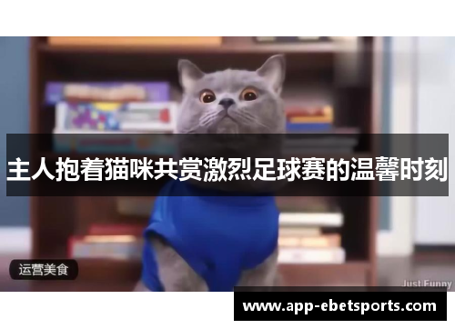 主人抱着猫咪共赏激烈足球赛的温馨时刻