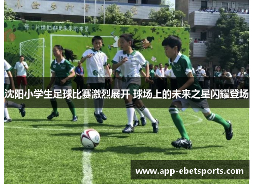 沈阳小学生足球比赛激烈展开 球场上的未来之星闪耀登场